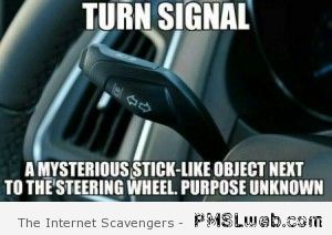 30-turn-signal-meme