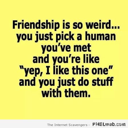 Friendship is so weird quote – Jokey Hump day at PMSLweb.com