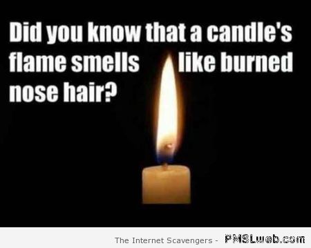 What a candle’s flame smells like at PMSLweb.com