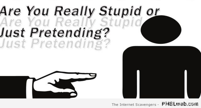 Are you really stupid – Monday sarcasm at PMSLweb.com