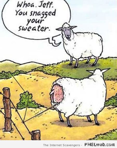 Funny sheep cartoon at PMSLweb.com