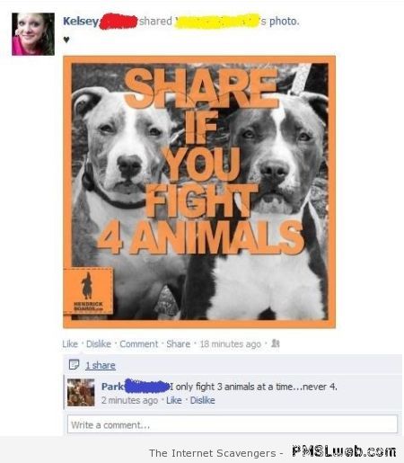 I you fight 4 animals Facebook humor at PMSLweb.com