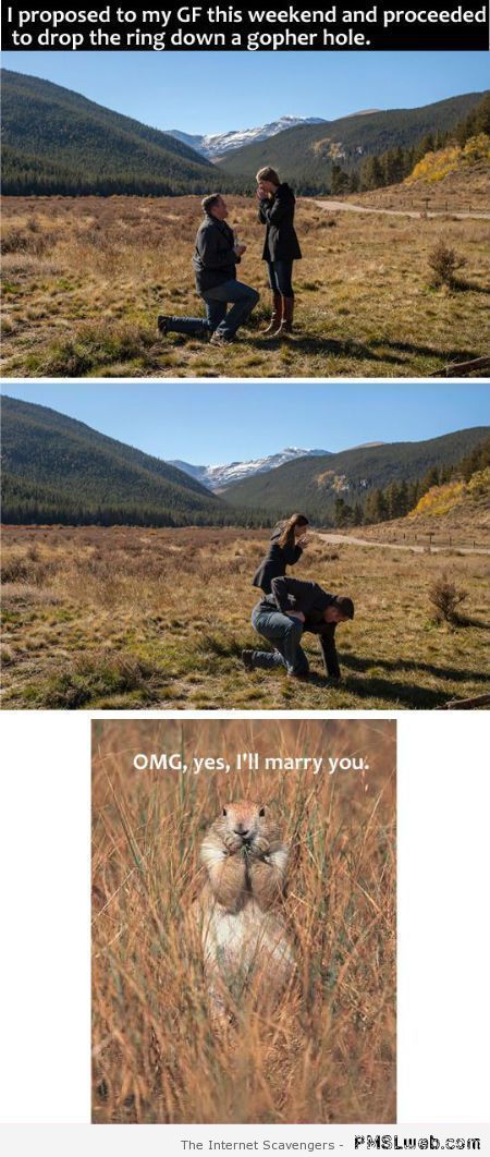 Engagement ring in gopher hole funny – Saturday LOL at PMSLweeb.com