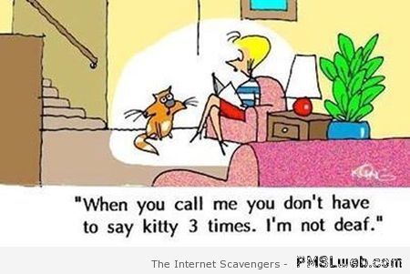 You don’t need to say kitty three times humor at PMSLweb.com