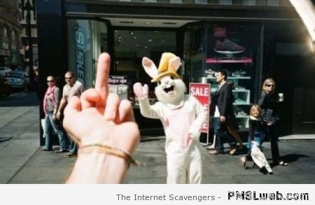F*ck you rabbit guy at PMSLweb.com