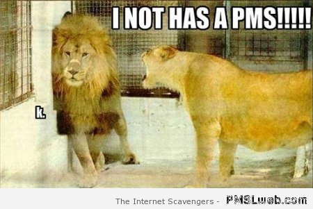 Lioness doesn’t have PMS humor at PMSLweb.com