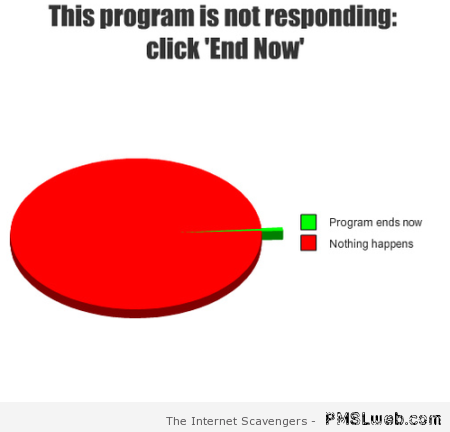 This program is not responding graph at PMSLweb.com