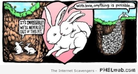 Funny bunny love cartoon at PMSLweb.com