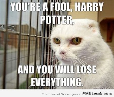 Voldemort cat meme – Funny TGIF at PMSLweb.com