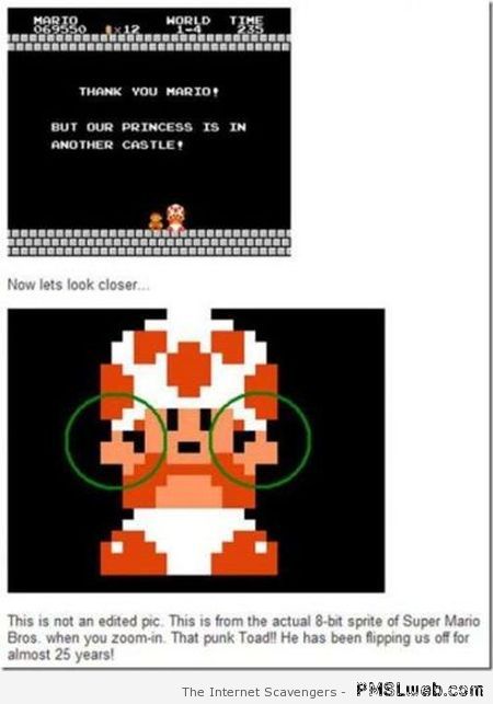 Mario Bros toad humor – Wednesday LOL at PMSLweb.com