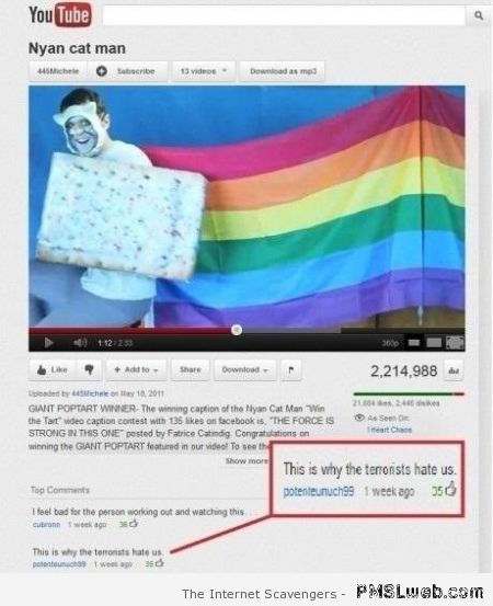 Funny Youtube Nyan cat man comment – Amusing Sunday at PMSLweb.com