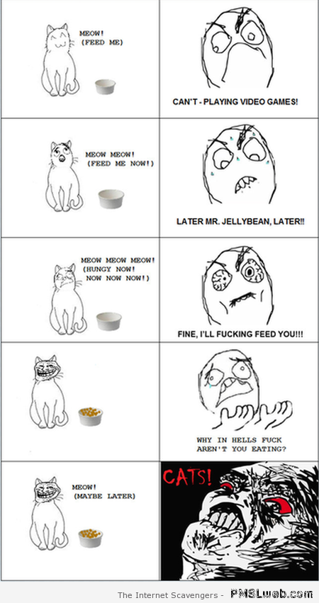 Cat rage comic at PMSLweb.com