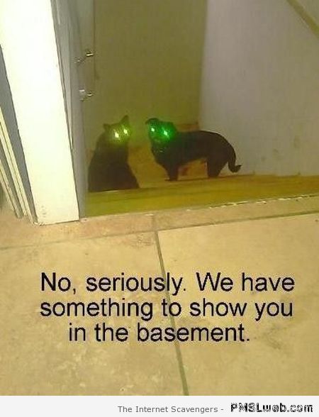 Follow us to the basement humor at PMSLweb.com