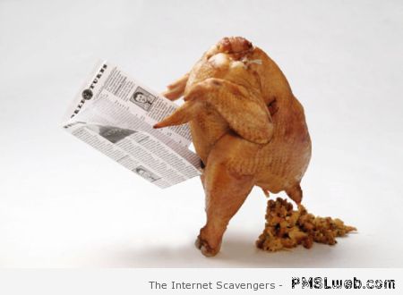 Funny Thanksgiving Turkey at PMSLweb.com
