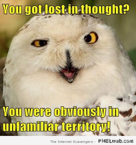 Sarcastic owl meme at PMSLweb.com