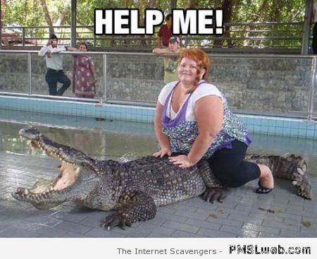 Funny crocodile meme at PMSLweb.com