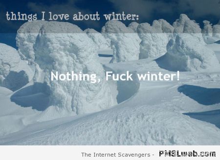 Funny winter hipster edit at PMSLweb.com