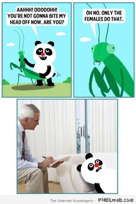 Praying mantis humor at PMSLweb.com