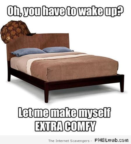 Scumbag bed meme at PMSLweb.com
