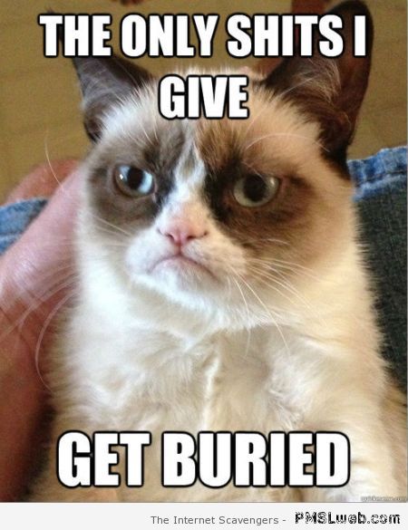 Grumpy cat buries meme – Funny Monday collection at PMSLweb.com