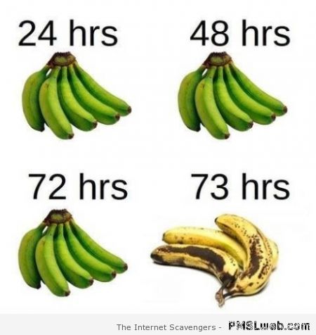 Funny lifespan of a banana – Funny Thursday pics at PMSLweb.com