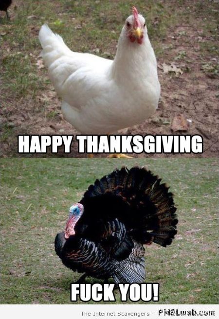 Happy Thanksgiving f*ck you – Thanksgiving funnies at PMSLweb.com
