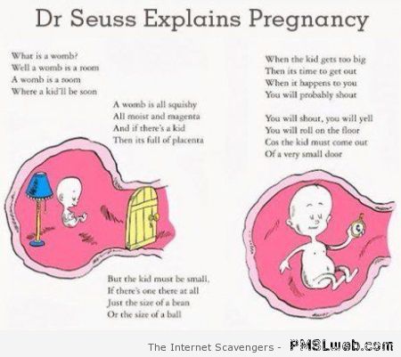 Dr Seuss explains pregnancy at PMSLweb.com
