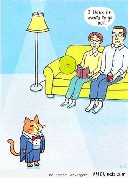 Hilarious cat cartoon – Friday craze at PMSLweb.com