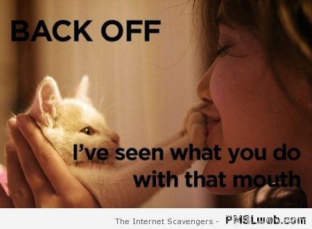 Back off cat humor at PMSLweb.com