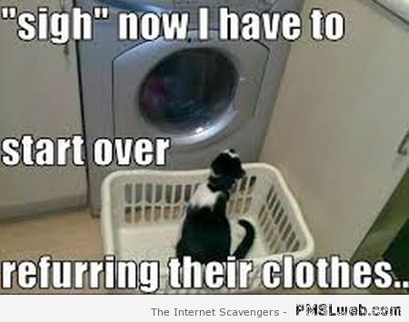 Washing machine cat meme at PMSLweb.com