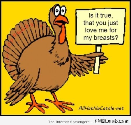 Turkey you love me for my breasts at PMSLweb.com