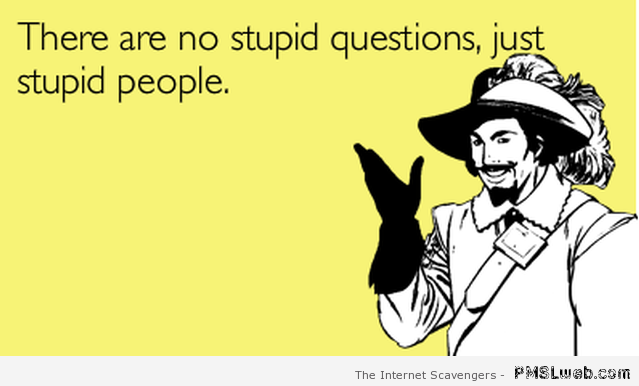 There are no stupid questions humor at PMSLweb.com