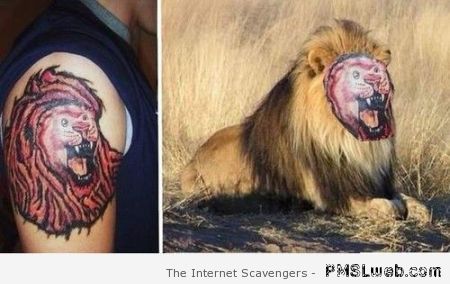 Lion tattoo fail at PMSLweb.com