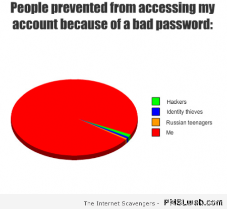 Bad password hacking funny graph at PMSLweb.com