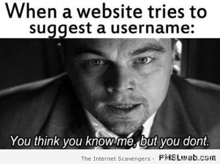 When a website tries to suggest a username at PMSLweb.com
