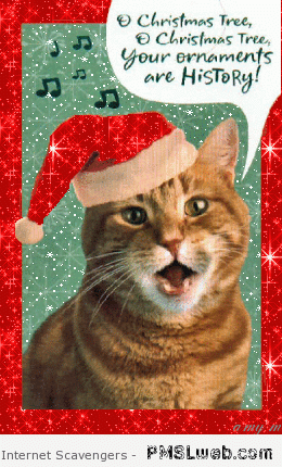 Christmas tree cat humor – Christmas humor at PMSLweb.com