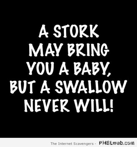 A stork may bring you a baby – Sarcastic funnies at PMSLweb.com