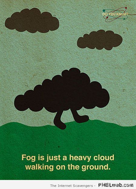 Fog is just a heavy cloud at PMSLweb.com
