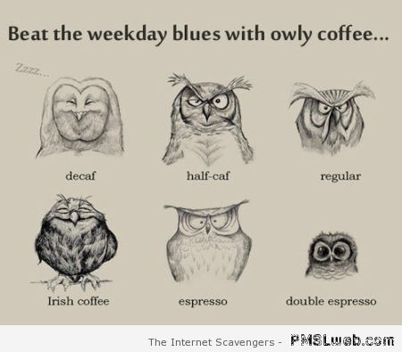 Owly coffee cartoon at PMSLweb.com