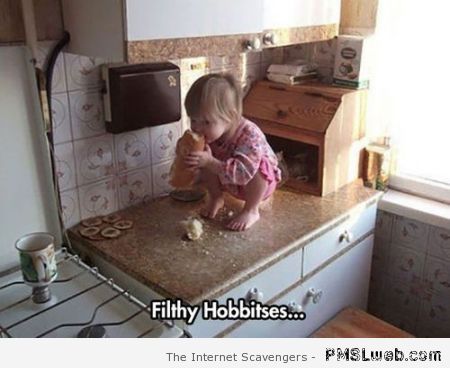 Funny hobbit meme at PMSLweb.com