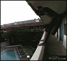 Stupid jump attempt gif – Hump day guffaws at PMSLweb.com