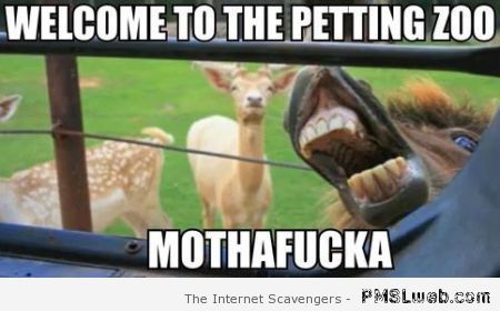 Welcome to the petting zoo meme at PMSLweb.com