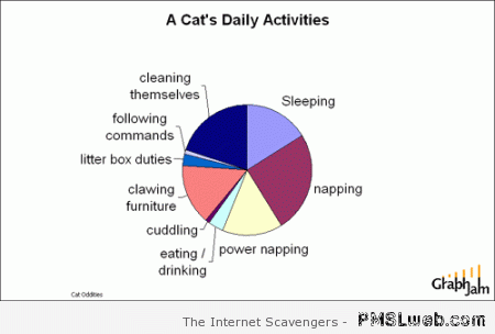 Cat’s daily activities graph at PMSLweb.com