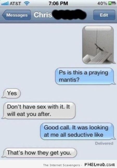 Seductive praying mantis iPhone humor at PMSLweb.com
