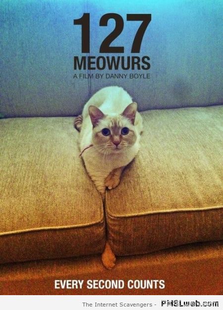 Funny cat movie poster – Monday PMSL at PMSLweb.com