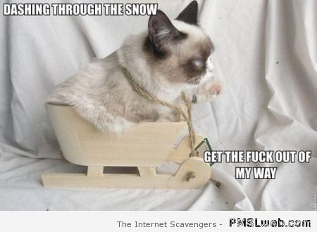 Funny winter Grumpy cat at PMSLweb.com