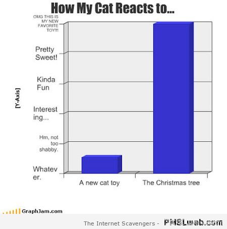 How my cat reacts graph – Hilarious cat pictures at PMSLweb.com
