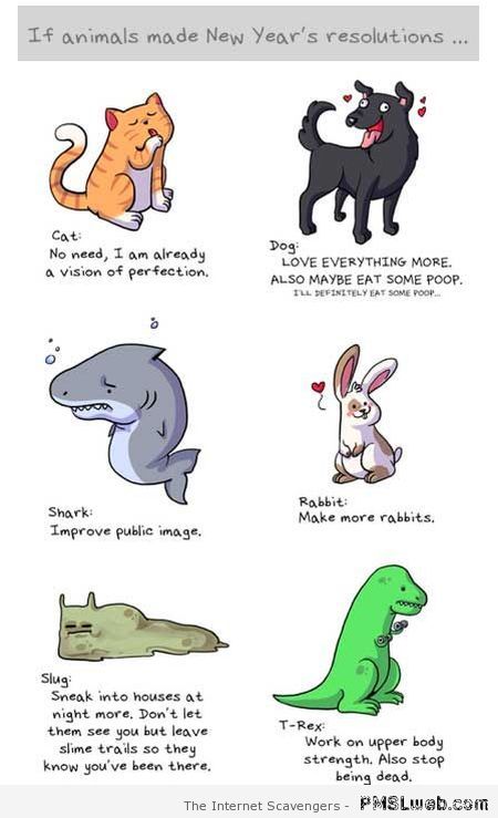 If animals made New Year resolutions at PMSLweb.com