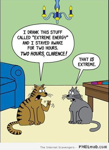 Funny cat cartoon at PMSLweb.com