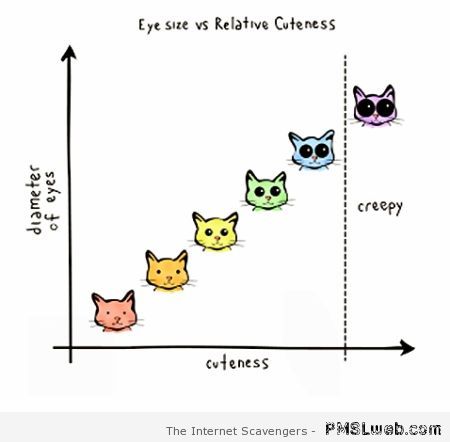 Cat cuteness graph at PMSLweb.com